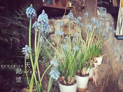 -懒鱼时光馆(沙坪坝店)