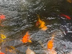 -朵云书院·广富林店