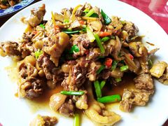 -生态苑农庄(十里画廊遇龙河店)