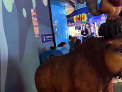 -烟台海昌鲸鲨海洋公园