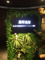 -藤野造型