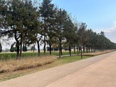 -汉长安城未央宫国家考古遗址公园