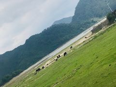-罗坑大草原