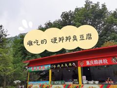 -木兰云雾山