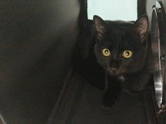 -爱诺动物医院(崂山店)