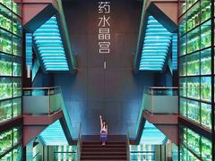 -广东中医药博物馆