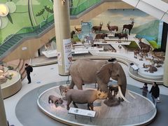 -陕西自然博物馆