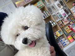 -全心全意连锁动物医院(石景山店)