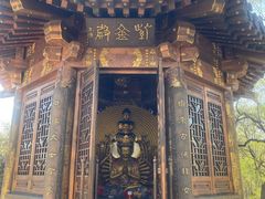 -高尔山公园