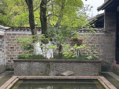 -八大山人梅湖景区