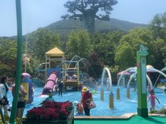 -苏州乐园森林水世界