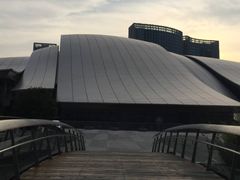 -合肥大剧院