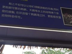 -广州长隆飞鸟乐园