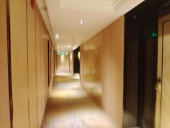 -长沙富力万达文华酒店