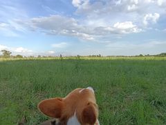 -敕勒川草原文化旅游区