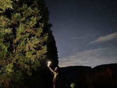 -武陵山森林公园