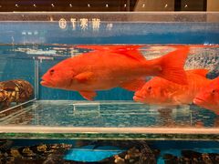 -许家菜(DT51店)