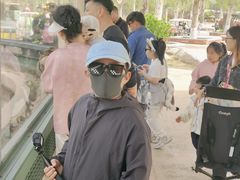 -泉城欧乐堡梦幻世界
