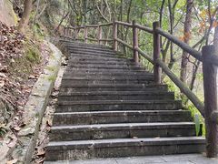 -铁山坪森林公园