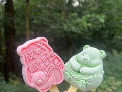 -成都大熊猫繁育研究基地