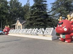 -日照海滨国家森林公园