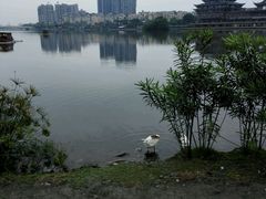 -眉山湿地公园(东坡区)