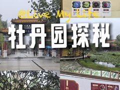 -曹州牡丹园