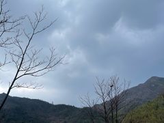 -大围山国家森林公园