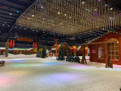 -宁波冰雪大世界(北仑区)