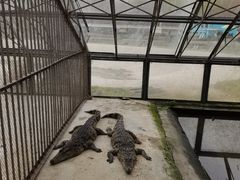 -秦皇岛野生动物园