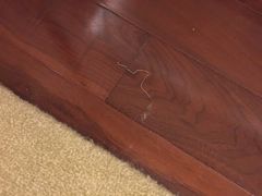 -天津津利华酒店