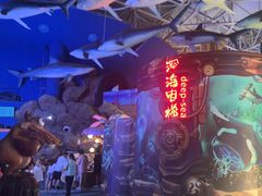 -烟台海昌鲸鲨海洋公园