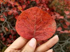 -水峪民俗村
