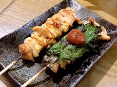 -鸟内会(河北路店)