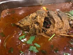 -新珠城鱼坊(龙湖店)