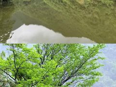 -东白山