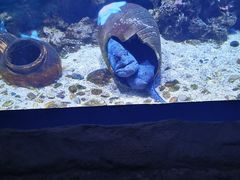 -南昌融创海世界