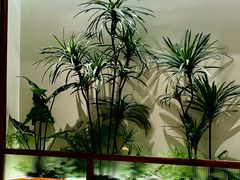 -糖糖屋•糖水•雪花冰店(时尚天河店)