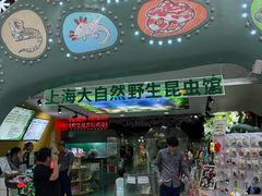 -上海大自然野生昆虫馆(东方明珠·爬宠昆虫探索中心)
