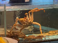 -王庄阿咪海鲜大排档(象园店)