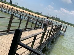 -瑶湖郊野森林公园