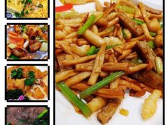 -顺德了能馆(虎门店)