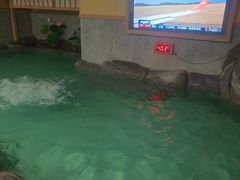 -汤泉良子.足疗按摩.SPA(中关村店)