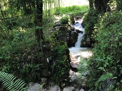 -四川省成都市彭州市白鹿镇