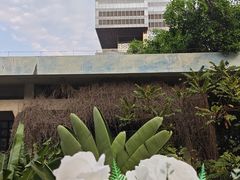 -villaa·别墅·融合菜西餐厅