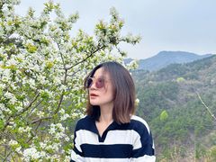 -木兰云雾山