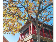 -故宫博物院(故宫)