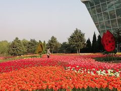 -石家庄市植物园