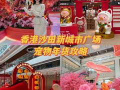 -新城市广场