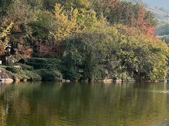 -白马涧龙池景区
